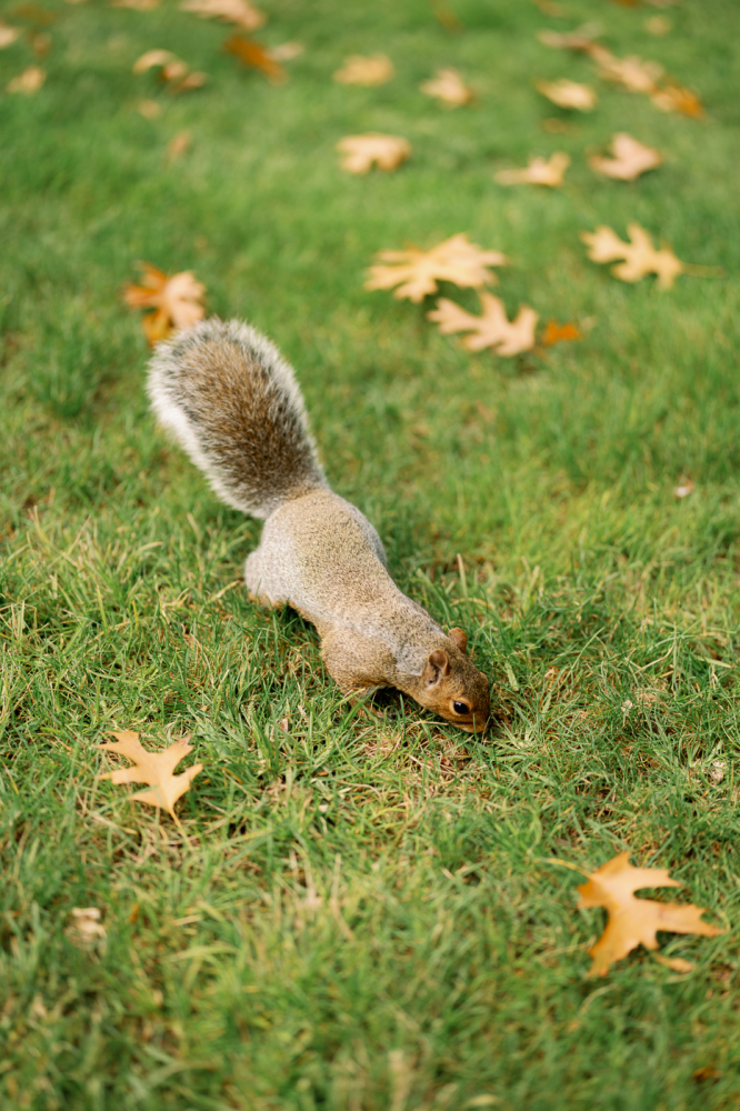  boston-usa-rewedding-photography-bridal-photography-luke-lifevisionstudio.jpg---104