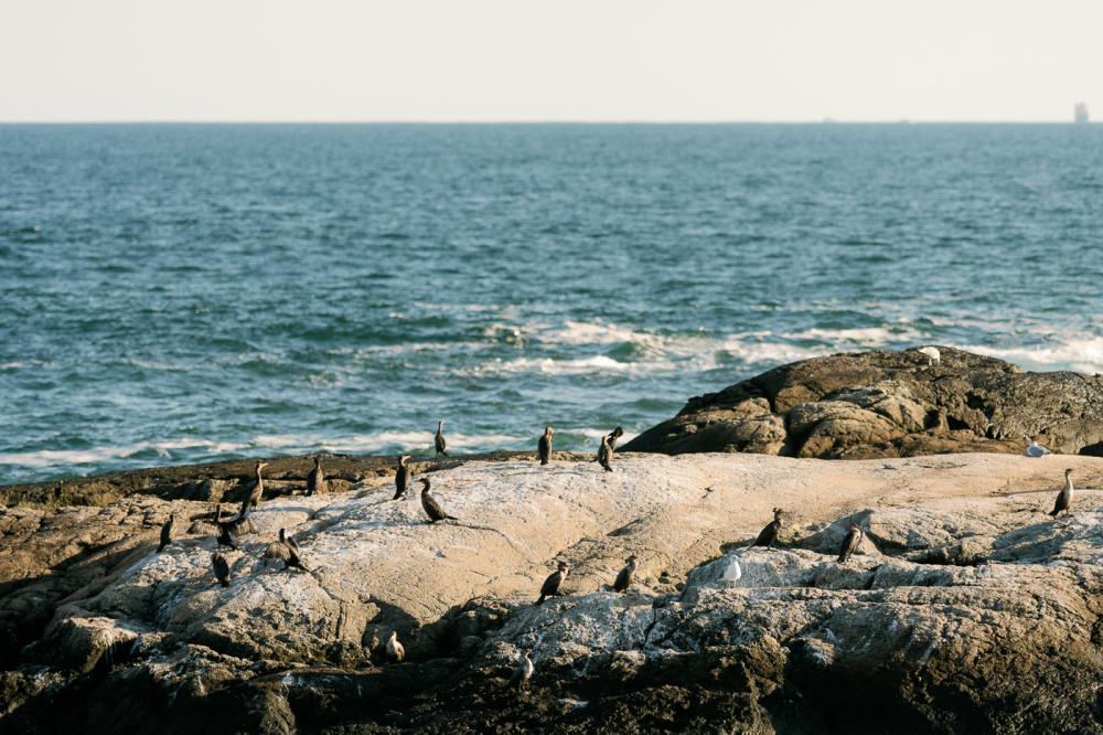  boston-usa-rewedding-photography-bridal-photography-luke-lifevisionstudio.jpg---189