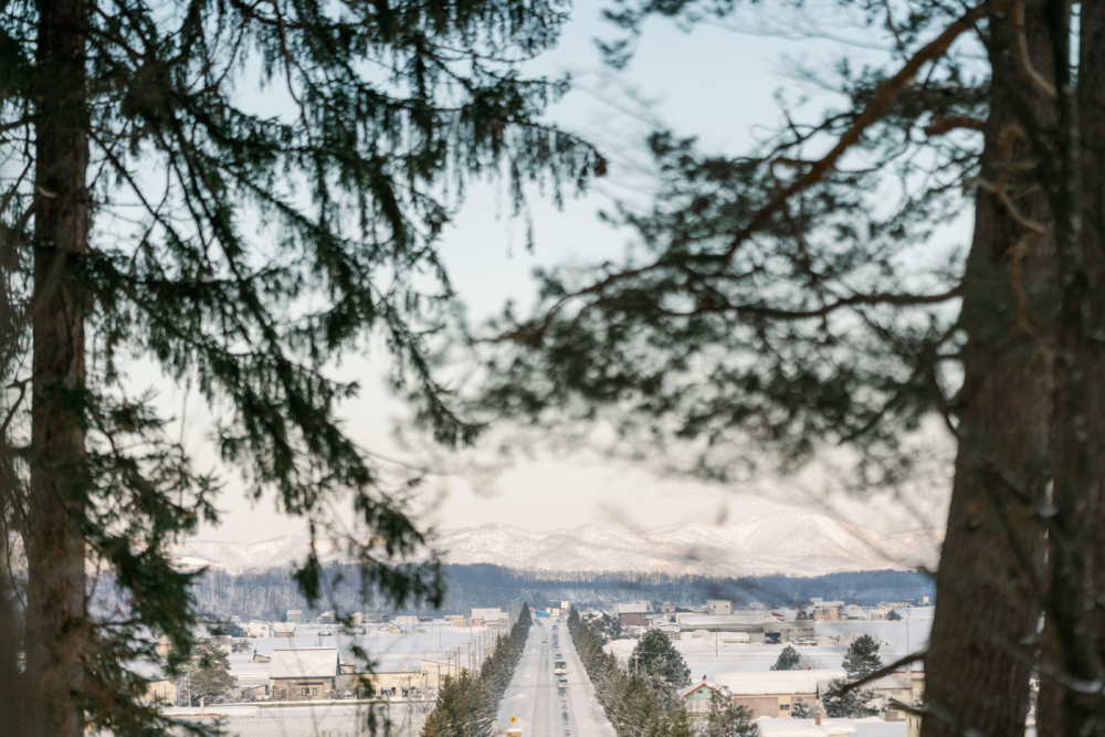  hokkaido-japan-rewedding-photography-bridal-photography-luke-lifevisionstudio.jpg---18