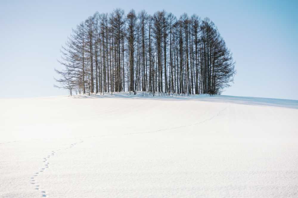  hokkaido-japan-rewedding-photography-bridal-photography-luke-lifevisionstudio.jpg---23
