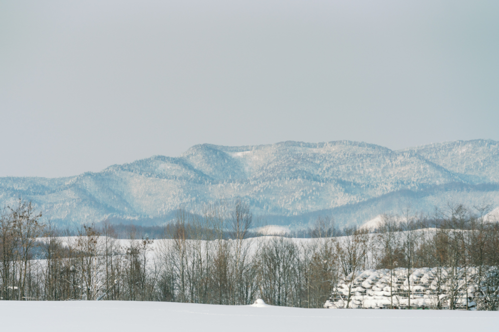  hokkaido-japan-rewedding-photography-bridal-photography-luke-lifevisionstudio.jpg---46