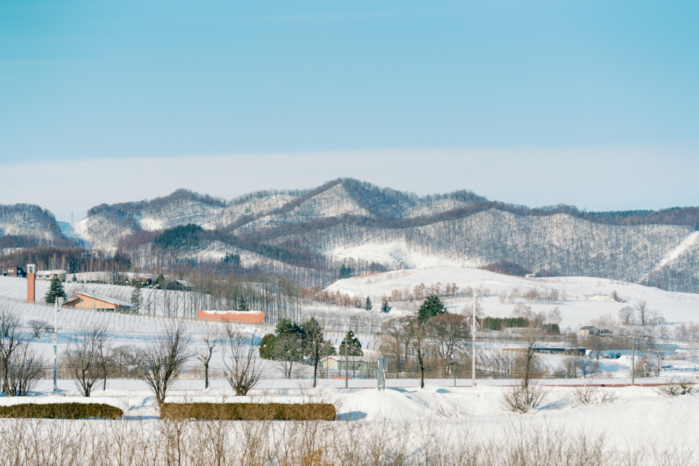  hokkaido-japan-rewedding-photography-bridal-photography-luke-lifevisionstudio.jpg---55