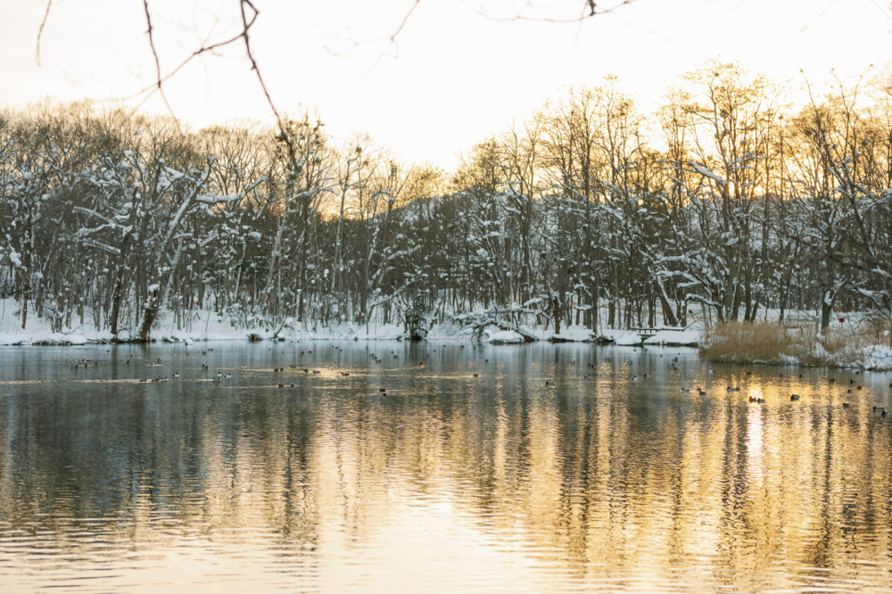  hokkaido-japan-rewedding-photography-bridal-photography-luke-lifevisionstudio.jpg---59