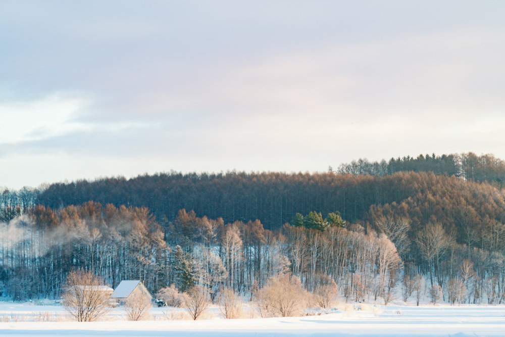  hokkaido-japan-rewedding-photography-bridal-photography-luke-lifevisionstudio.jpg---7