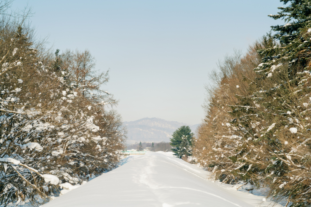  hokkaido-japan-rewedding-photography-bridal-photography-luke-lifevisionstudio.jpg---82