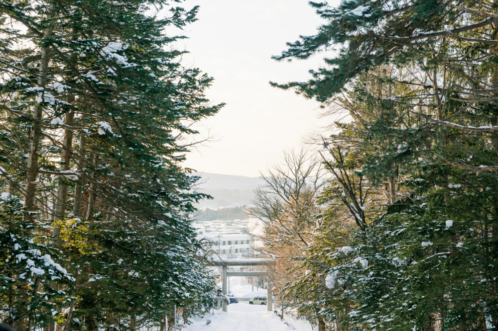  hokkaido-japan-rewedding-photography-bridal-photography-luke-lifevisionstudio.jpg---94