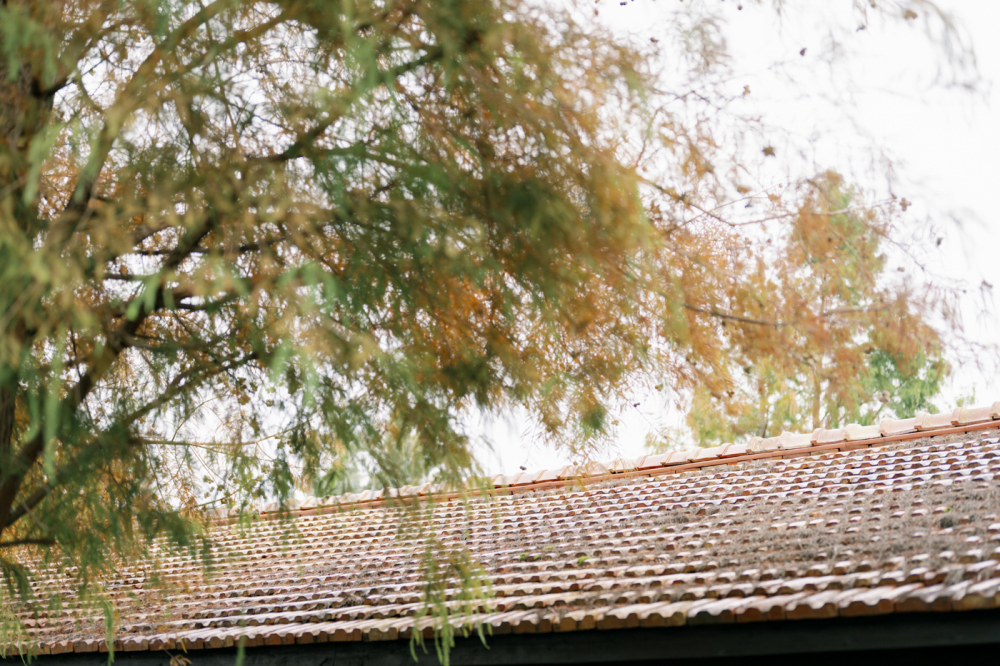 Lifevision-Ruby-美軍俱樂部-Surumi-Sean-1