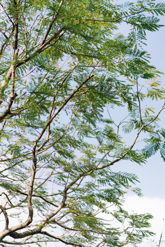 chansonbistro-wedding-phtography-by-lifevision-luke-taipei-wangchang-ruby-1