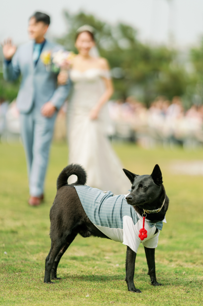 chenglinforestmuseum-of-agarwoodaroma-wedding-phtography-by-lifevision-luke-yunlin-sean-47