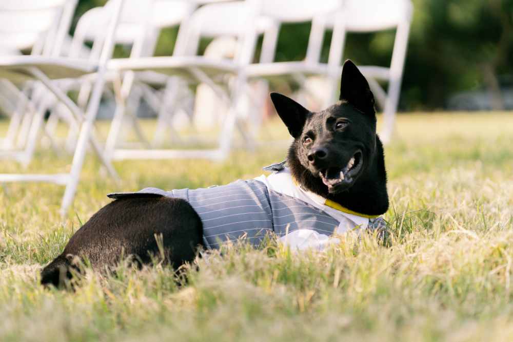 alive-glamping-base-wedding-photography-by-lifevision-taichung-Dwyane-7