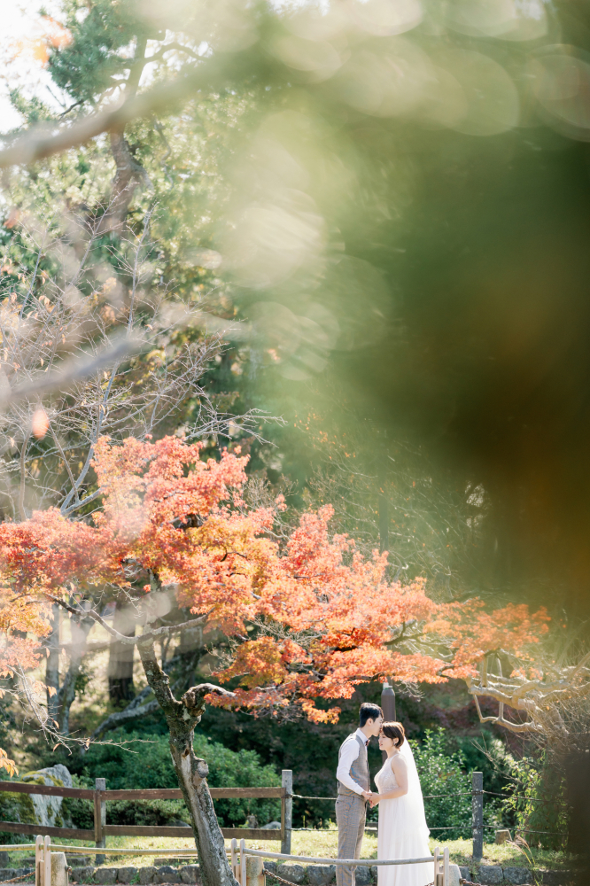 arashiyama-kyoto-wedding-photography-2025-lifevisionstudio-luke-40