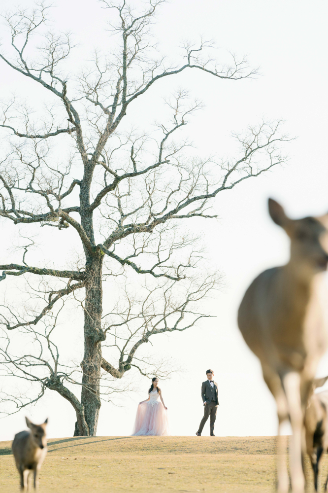 arashiyama-kyoto-wedding-photography-2025-lifevisionstudio-luke-59