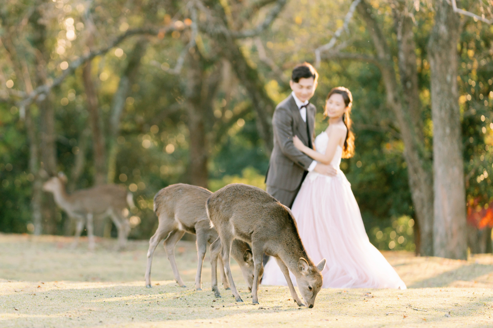 arashiyama-kyoto-wedding-photography-2025-lifevisionstudio-luke-64