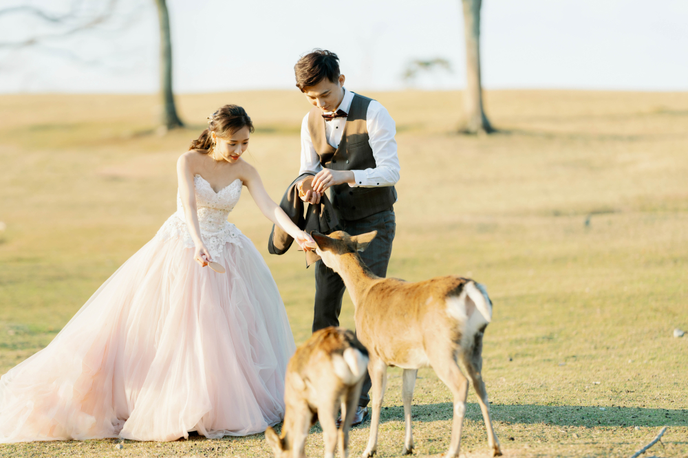 arashiyama-kyoto-wedding-photography-2025-lifevisionstudio-luke-66