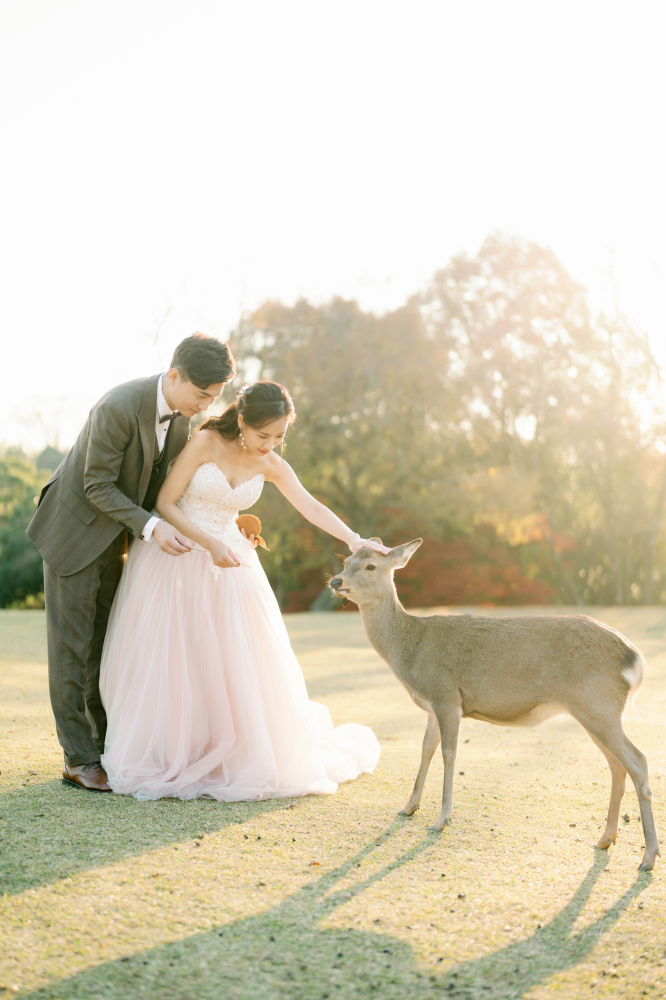 arashiyama-kyoto-wedding-photography-2025-lifevisionstudio-luke-67