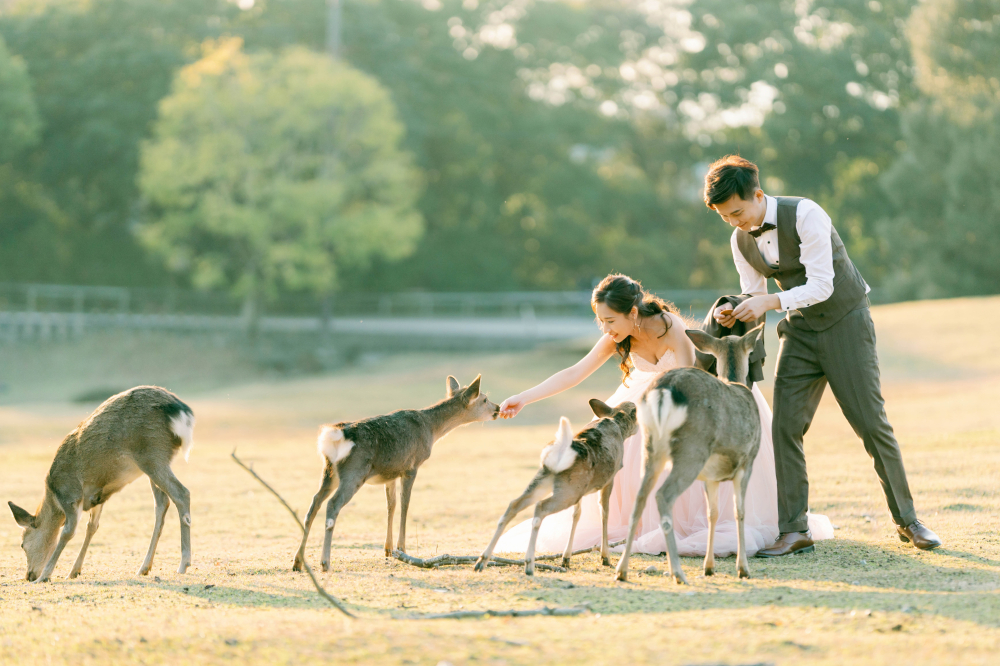 arashiyama-kyoto-wedding-photography-2025-lifevisionstudio-luke-68