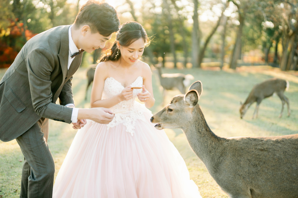 arashiyama-kyoto-wedding-photography-2025-lifevisionstudio-luke-69