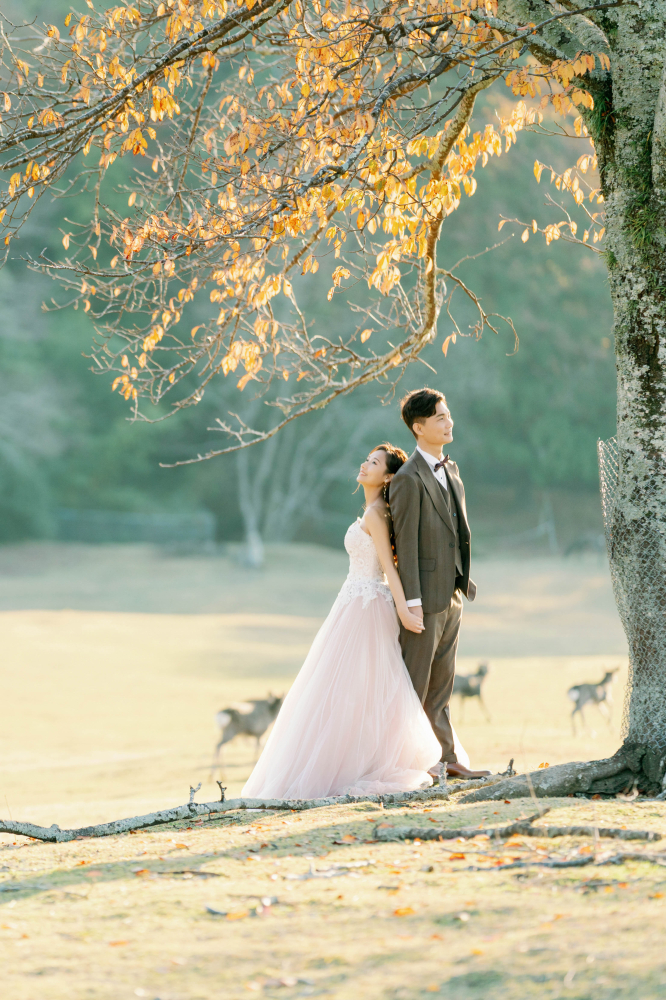 arashiyama-kyoto-wedding-photography-2025-lifevisionstudio-luke-60