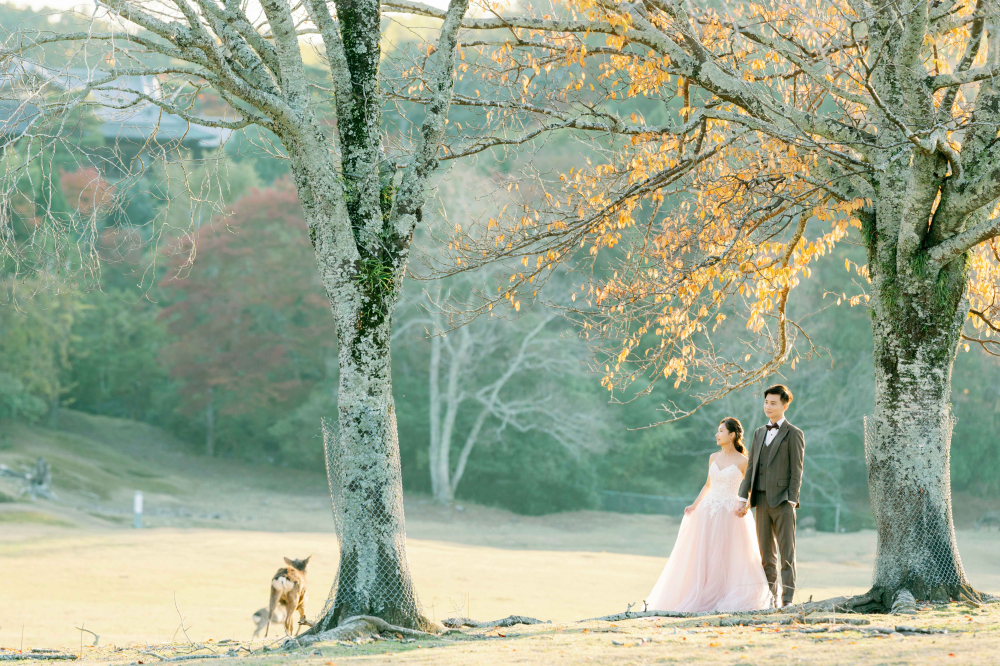 arashiyama-kyoto-wedding-photography-2025-lifevisionstudio-luke-61