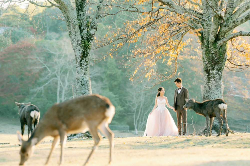 arashiyama-kyoto-wedding-photography-2025-lifevisionstudio-luke-62