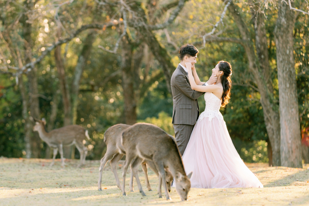 arashiyama-kyoto-wedding-photography-2025-lifevisionstudio-luke-63