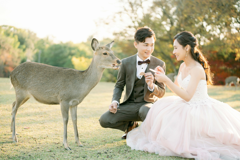 arashiyama-kyoto-wedding-photography-2025-lifevisionstudio-luke-70