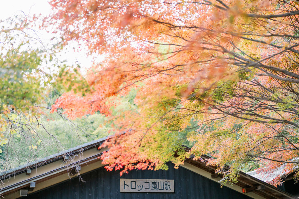 arashiyama-kyoto-wedding-photography-2025-lifevisionstudio-luke-89