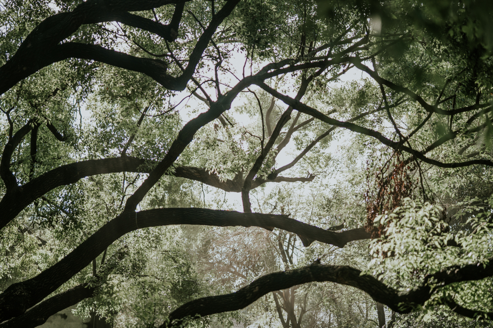 baiswedding-wedding-phtography-by-lifevision-kaohsiung-luke-6