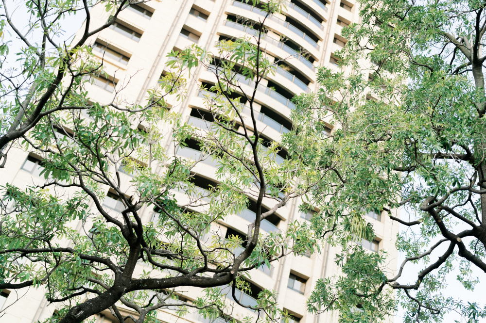 dyjipin-wedding-phtography-by-lifevision-luke-taichung-ariel-4