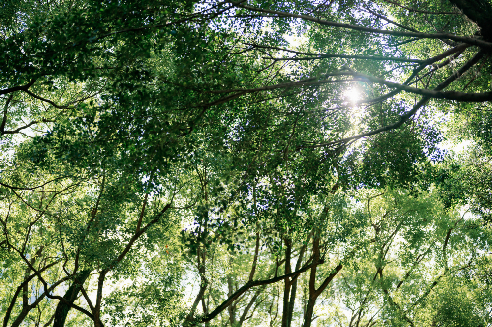 felicite-wed-wedding-phtography-by-lifevision-luke-taipei-5