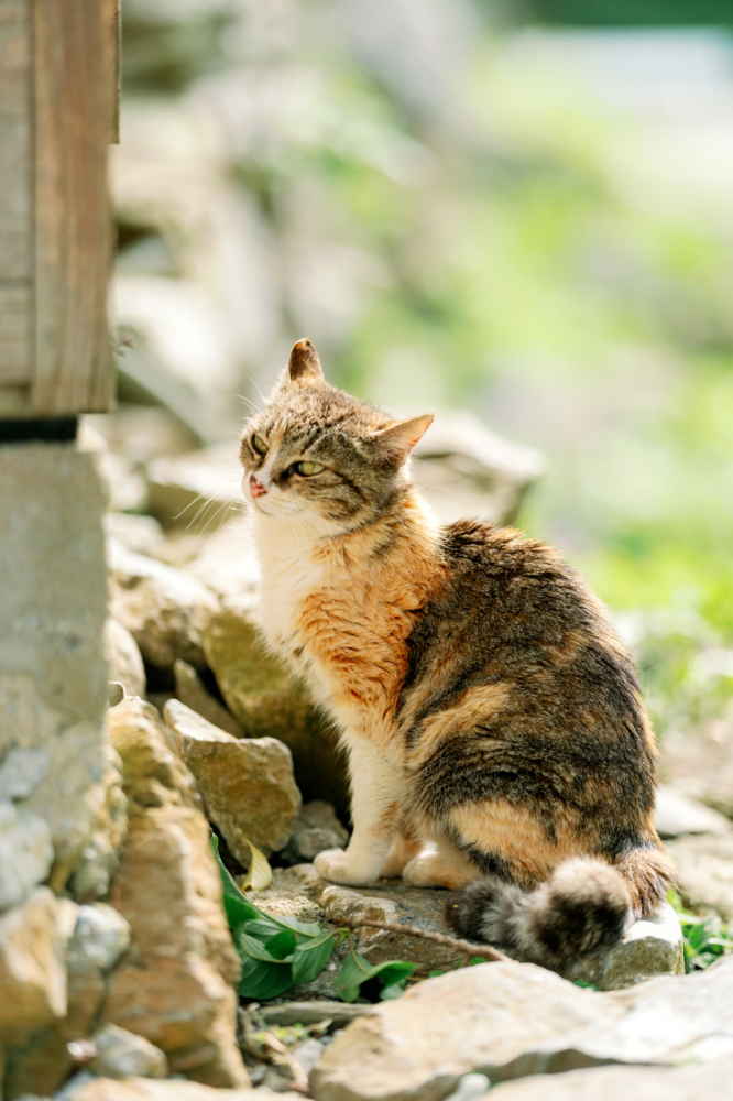 okinawa-japan-rewedding-photography-bridal-photography-luke-lifevisionstudio.jpg---64