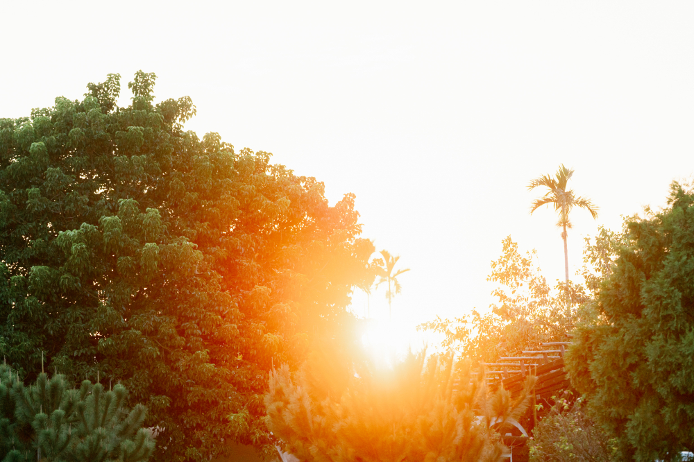 orangefarmhouse3-wedding-phtography-by-lifevision-luke-taipei-luc-118