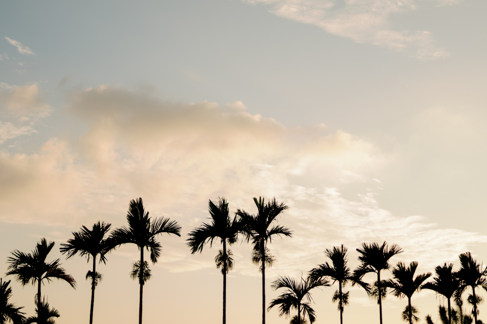 orangefarmhouse3-wedding-phtography-by-lifevision-luke-taipei-luc-87