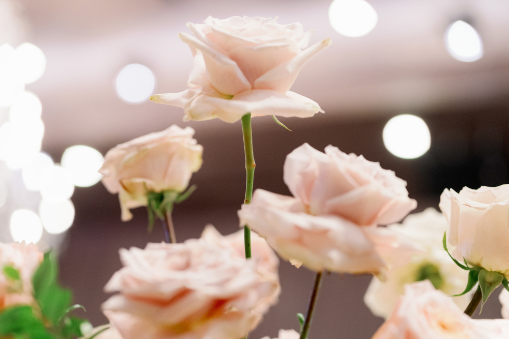 lightwedding1945-wedding-phtography-by-lifevision-luke-taichung-Jason-6