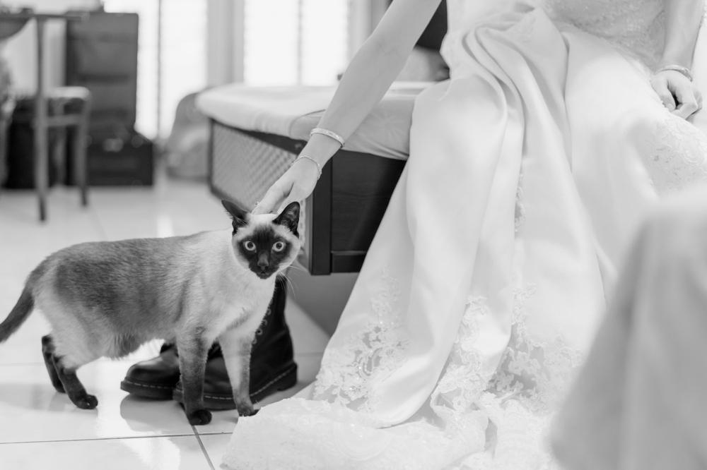 moncoeur-Weiting-wedding-phtography-by-lifevision-luke-taichung-how-7