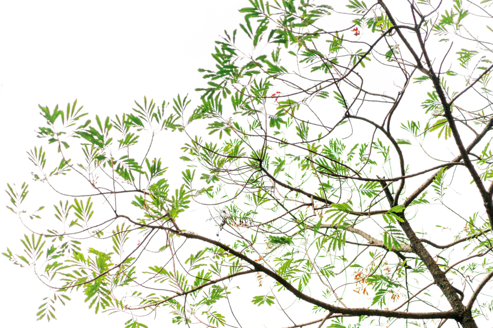 moncoeur-Weiting-wedding-phtography-by-lifevision-luke-taichung-how-1