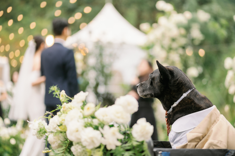 milkandhoney-ylian-wedding-phtography-by-lifevision-luke-yilan-2