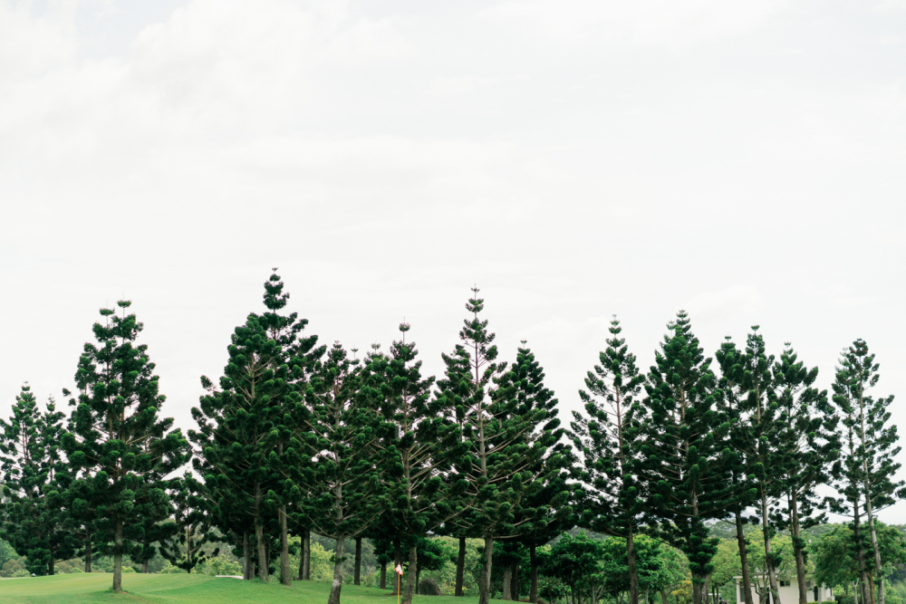 national-golf-country-club-wedding-photography-by-lifevision-taichung-Naiyuan-88