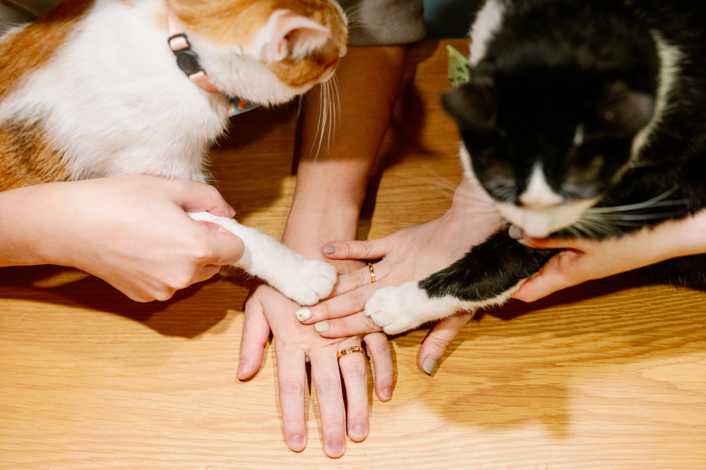 phtography-by-lifevision-luke-taichung-amy-3