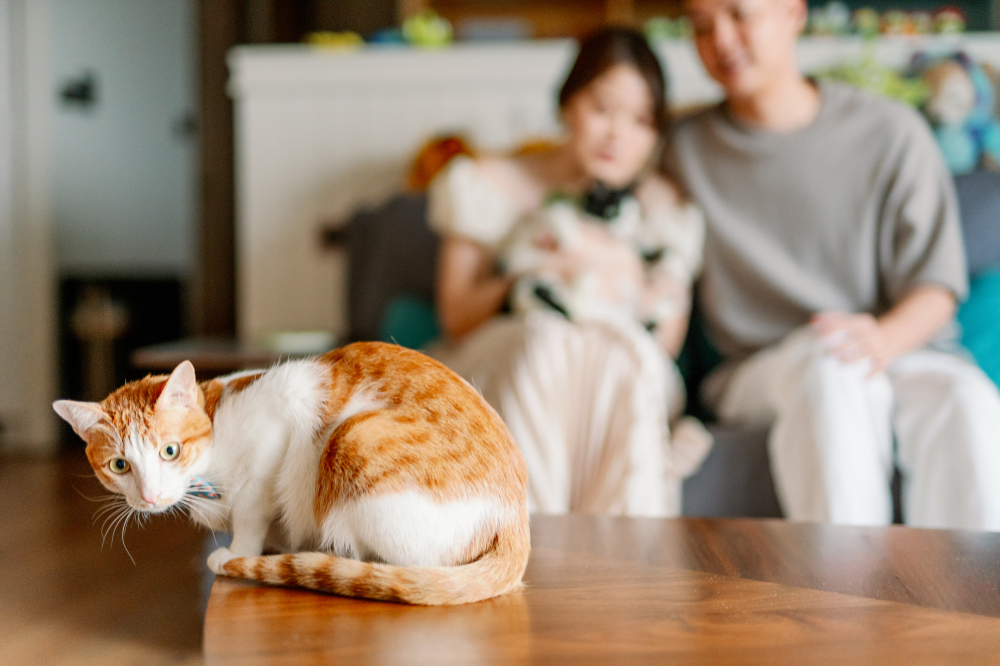 phtography-by-lifevision-luke-taichung-amy-4