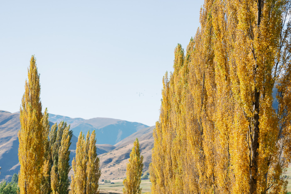 queenstown-newzealand-prewedding-photography-bridal-photography-luke-lifevisionstudio.jpg---40