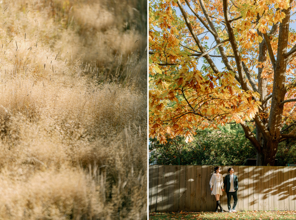 queenstown-newzealand-prewedding-photography-bridal-photography-luke-lifevisionstudio.jpg---52