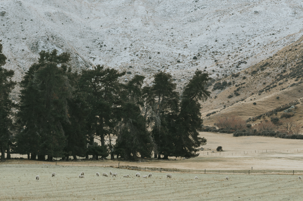 queenstown-newzealand-prewedding-photography-bridal-photography-luke-lifevisionstudio.jpg---92