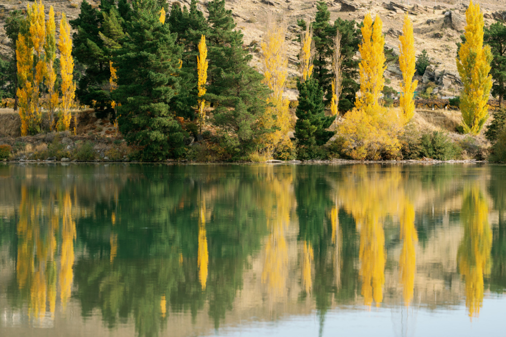 queenstown-newzealand-prewedding-photography-bridal-photography-luke-lifevisionstudio.jpg---101