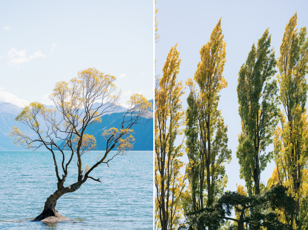 queenstown-newzealand-prewedding-photography-bridal-photography-luke-lifevisionstudio.jpg---12