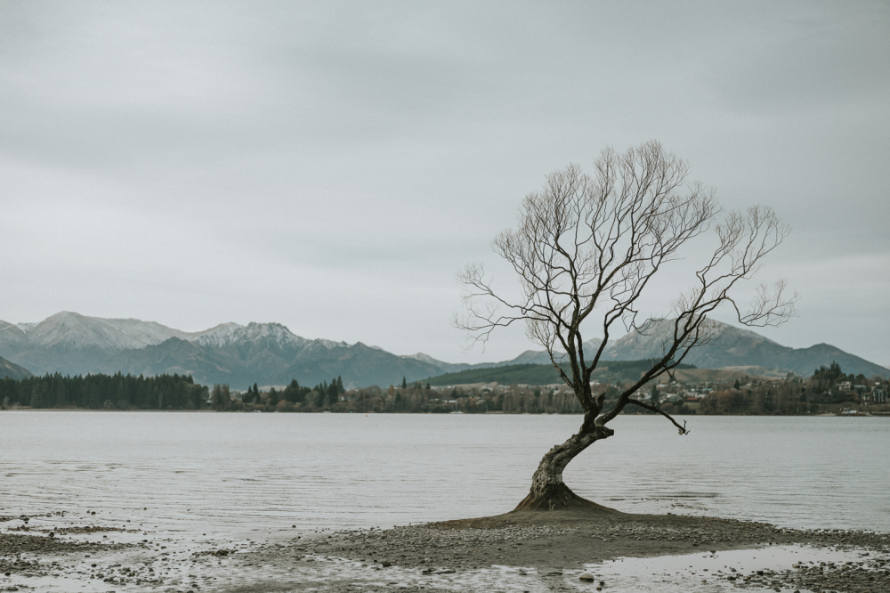 queenstown-newzealand-prewedding-photography-bridal-photography-luke-lifevisionstudio.jpg---127