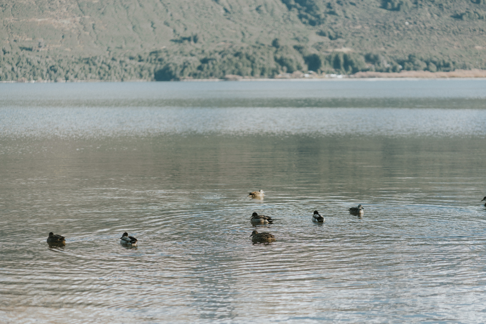 queenstown-newzealand-prewedding-photography-bridal-photography-luke-lifevisionstudio.jpg---18