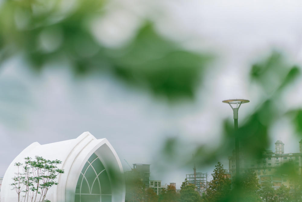 royal-Weiting-wedding-phtography-by-lifevision-luke-taoyuan-zhihong-18