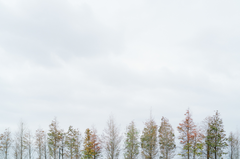 royal-Weiting-wedding-phtography-by-lifevision-luke-taoyuan-zhihong-19