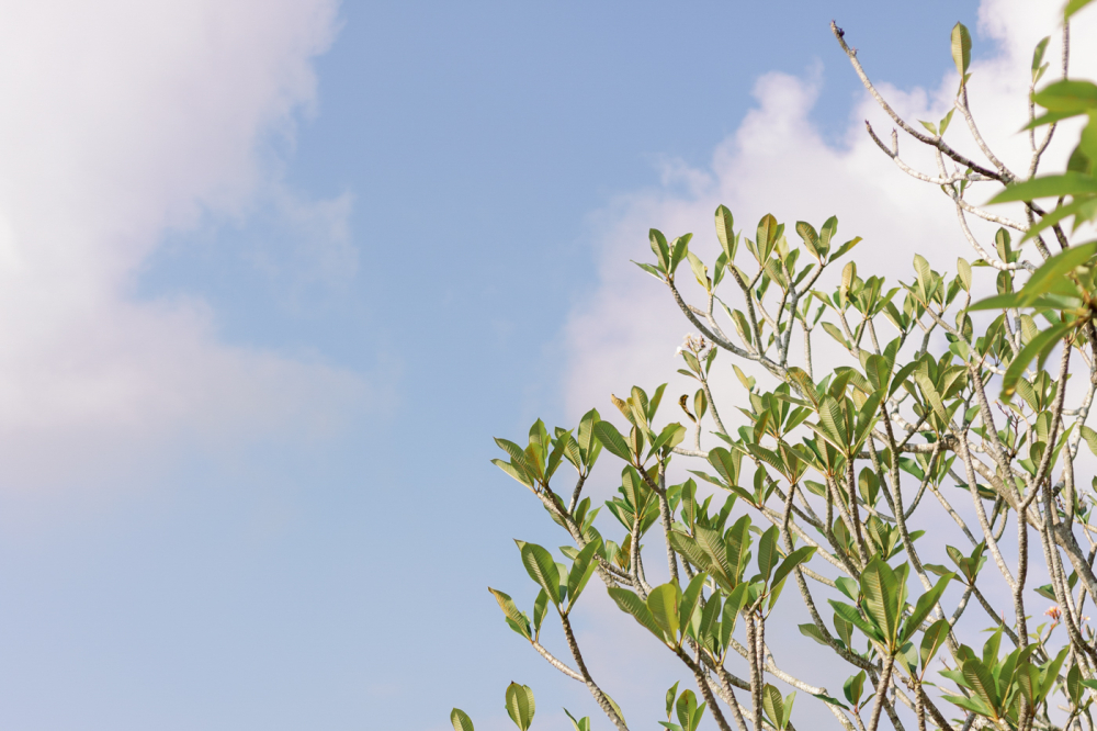 wedding-photography-by-lifevision-taichung-peichen-1